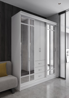 Шкаф Дипломат 2000, Ограниченно годен