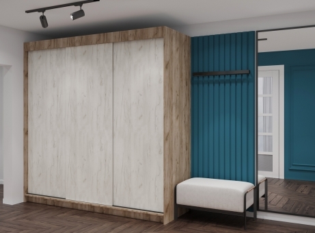 Шкаф  купе МЛ-1 (2,20*2.20м) Вариант 2, Собран