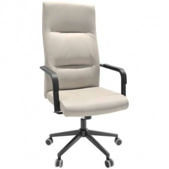 Fotoliu Birou Remo~Grey