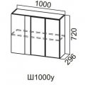 ГЕОМЕТРИЯ Ш 1000у / 720 (100В угол)