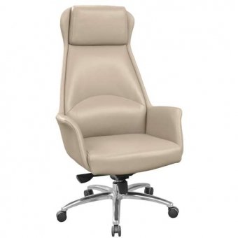 Fotoliu Birou Aeron~Camel