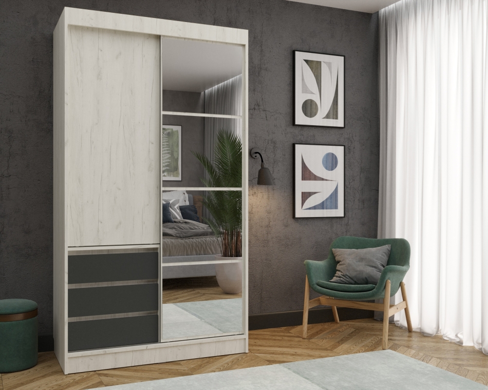 Шкаф купе НАЙС  2Д  (120)