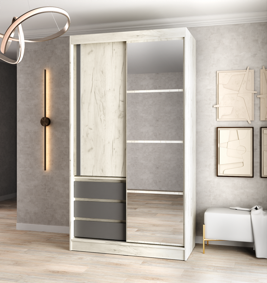 Шкаф купе НАЙС  2Д  (120)